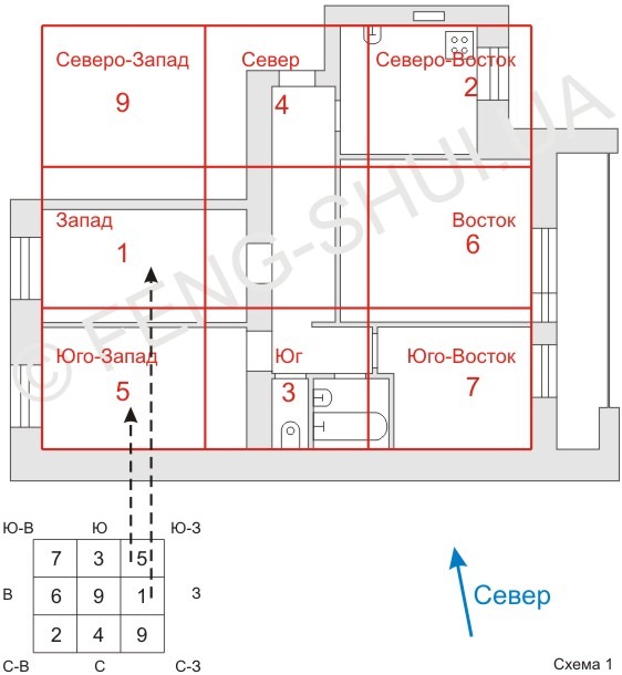 Расселение годичных звезд по дворцам